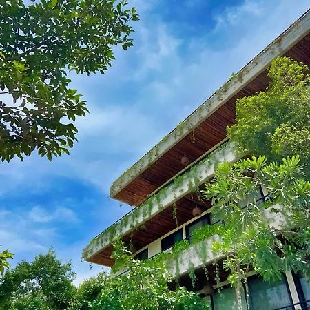 Etnica Ku - Tulum Jungle Paradise 外观 照片